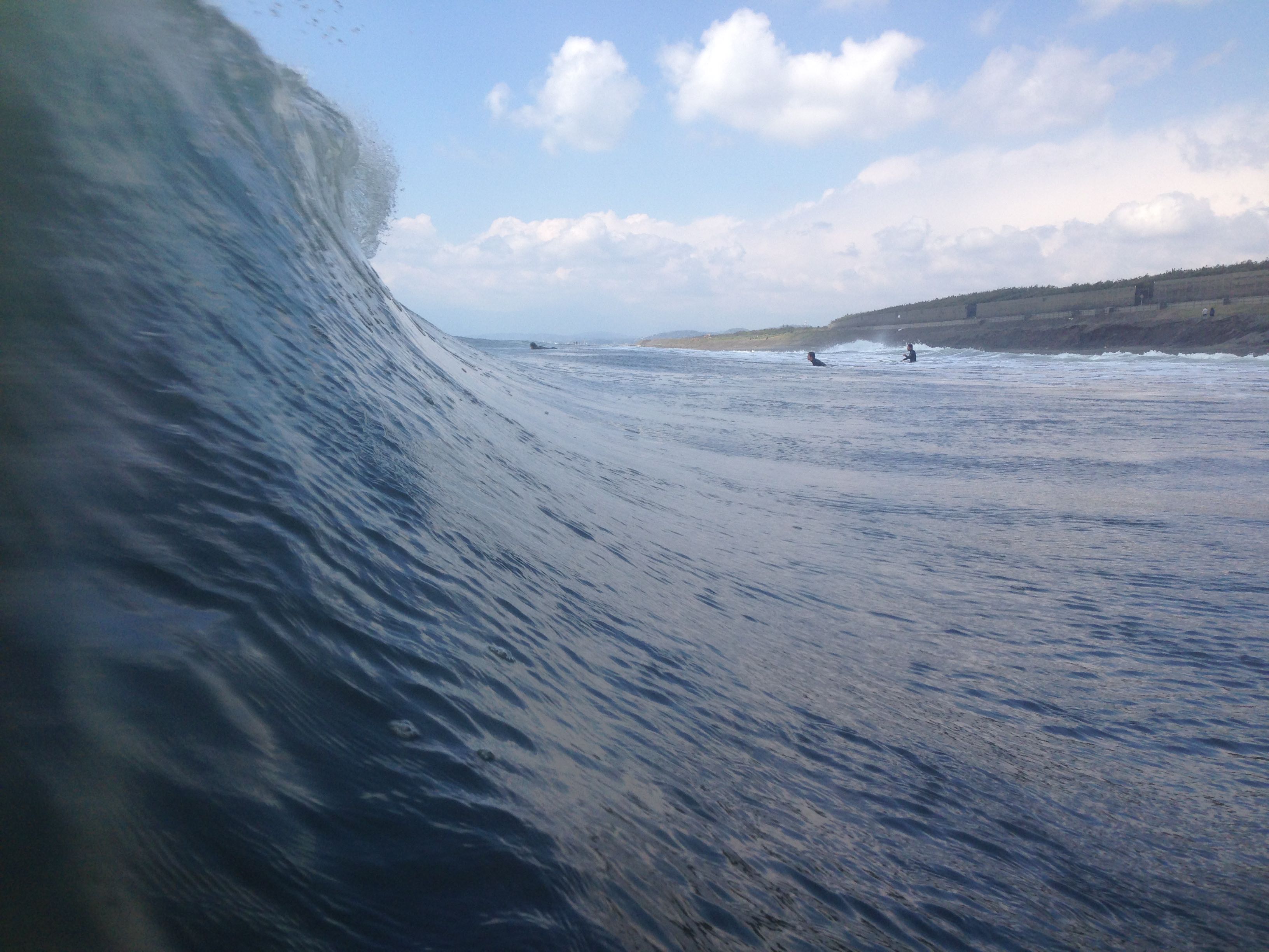 IMG_5984 のコピー